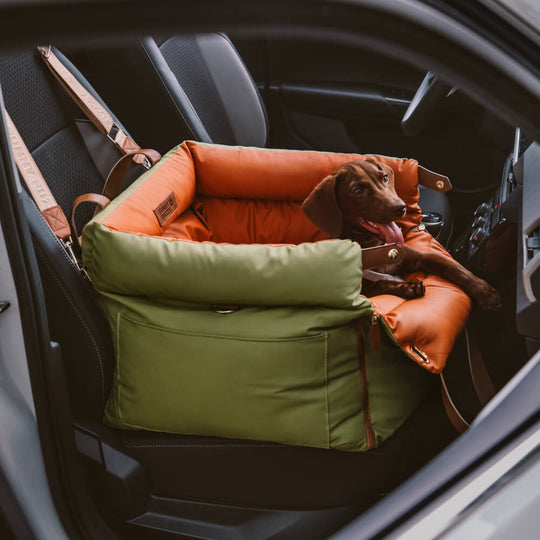 Hunde Autositz Rückbank Sicheres Reisen Komfortabel Plüsch Design 2